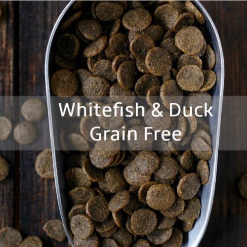 Shops duck dog food grain free