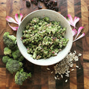 Sunny Broccoli Slaw