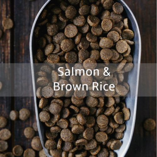 Salmon Brown Rice Dog Food