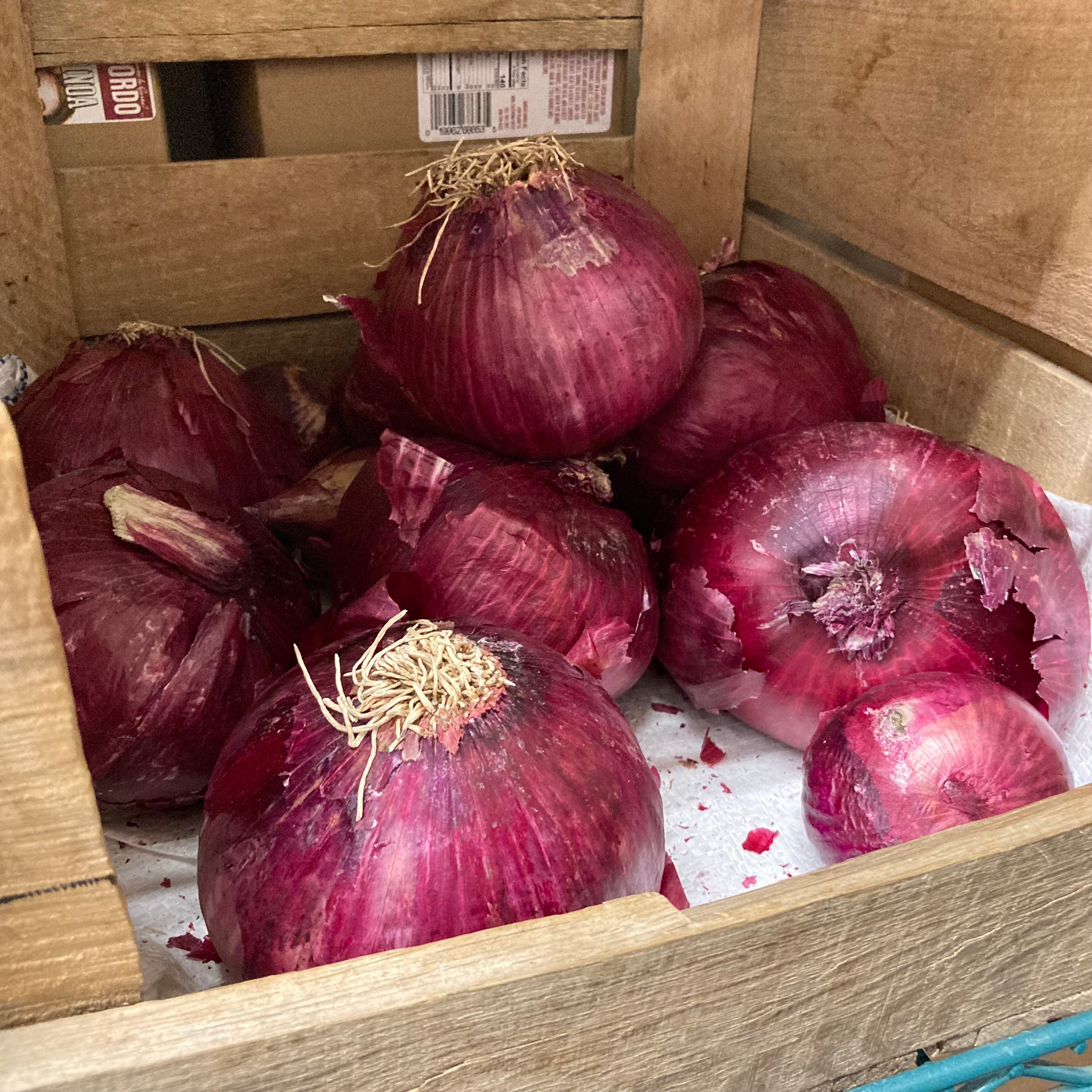 Bag of Red Onion | 25lbs