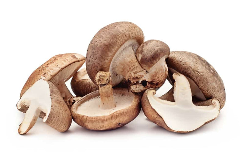 Shiitake Mushrooms by the pound