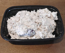 Silverglades Chicken Salad