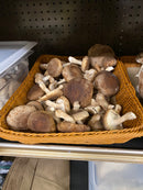Shiitake Mushrooms