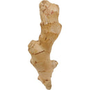 Fresh Ginger