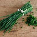 Fresh Herbs