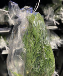 Fresh Herbs