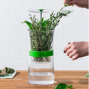 Cuisipro Herb Keeper