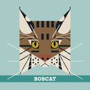 Charley Harper’s Animals Memory Game