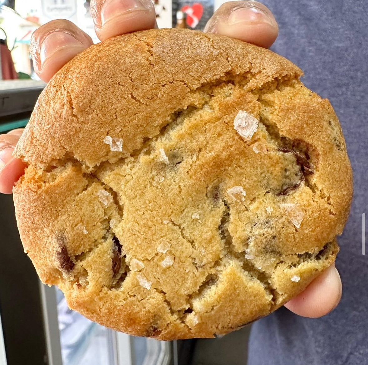 Salted Dark Chocolate Chip Cookie - 6 Pack