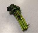 Broccolini