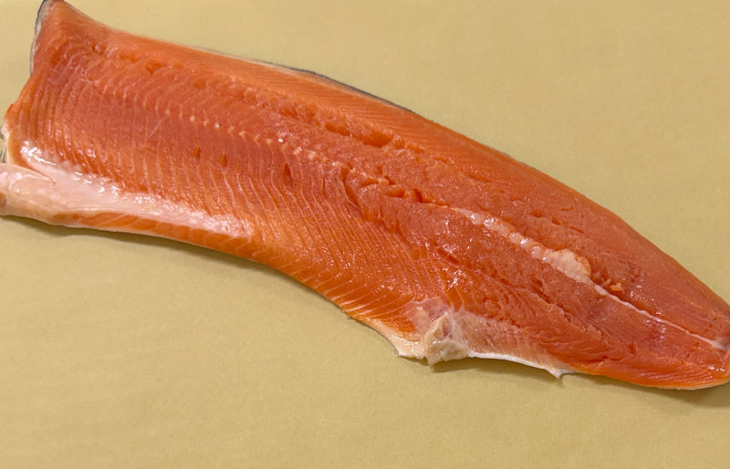 Arctic Charr