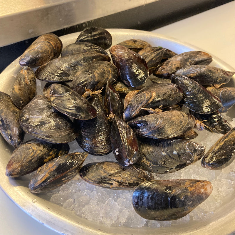 Fresh Mussels 1 lb