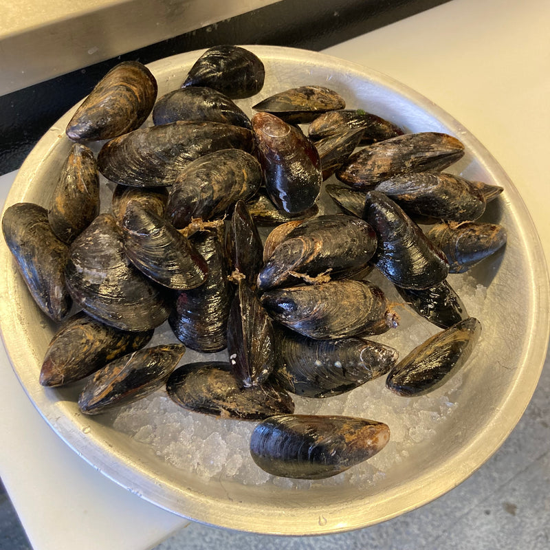 Fresh Mussels 1 lb