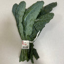 Lacinato Kale