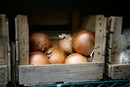 Bulk Onions