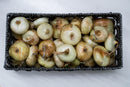 Bulk Onions