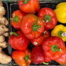 Bell Peppers