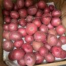 Bulk Potatoes
