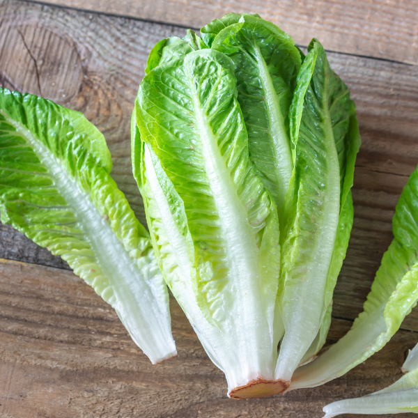 Romaine Lettuce - 1 head