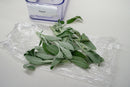 Fresh Herbs