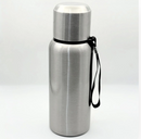 Stainless Steel Travel Thermal Bottle with Tea Infuser - 20oz
