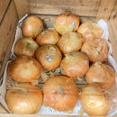 Bulk Onions