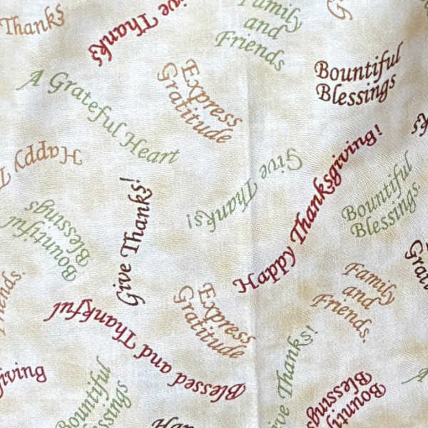 Thanksgiving Apron