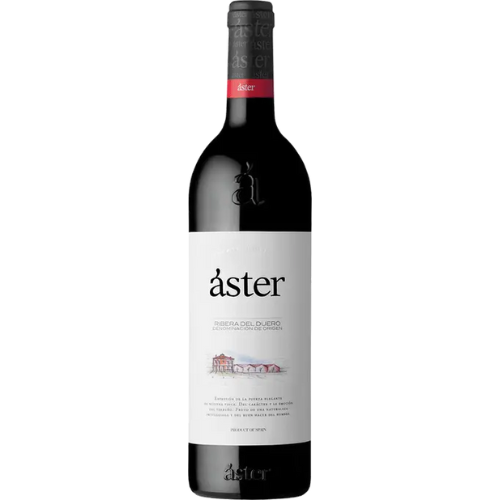 Aster Ribera del Duero