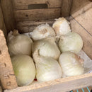 Bulk Onions