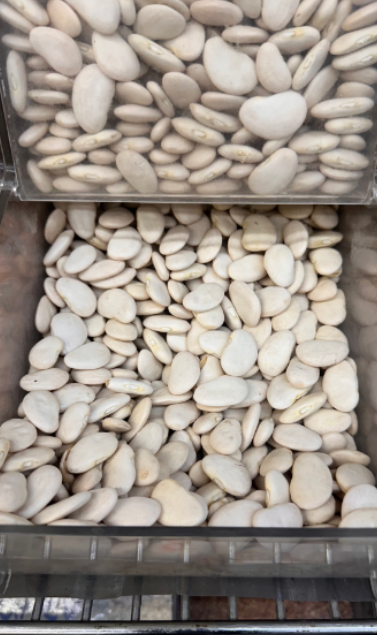 Bulk Lima Beans
