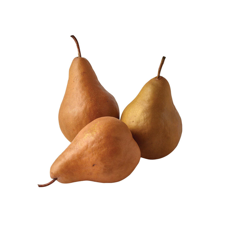 Bosc Pear