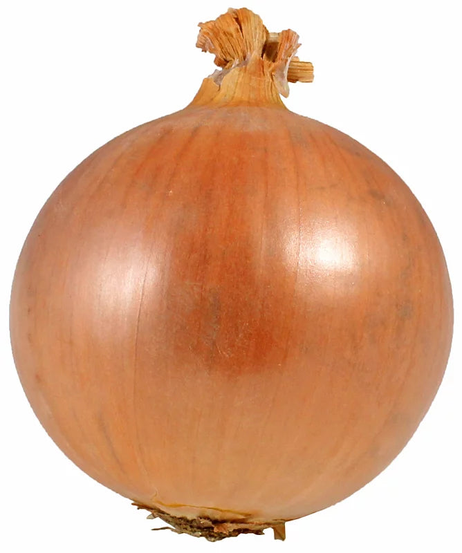 Onion Varieties