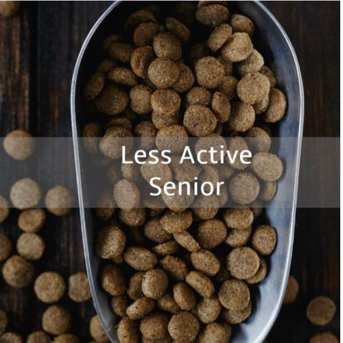 Less Active Senior Dog Food