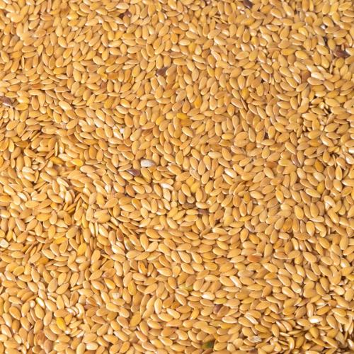 Bulk Organic Golden Flaxseed Varieties