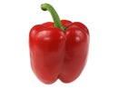 Bell Pepper Varieties
