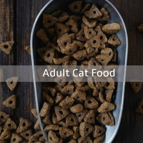 Chicken & Brown Rice Cat Food (Adult & Kitten)
