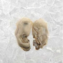 Fresh Chesapeake Shucked Oysters