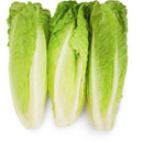 Romaine Hearts
