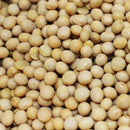 Dried Bean Varieties