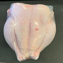 Whole Chicken