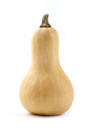 Butternut Squash