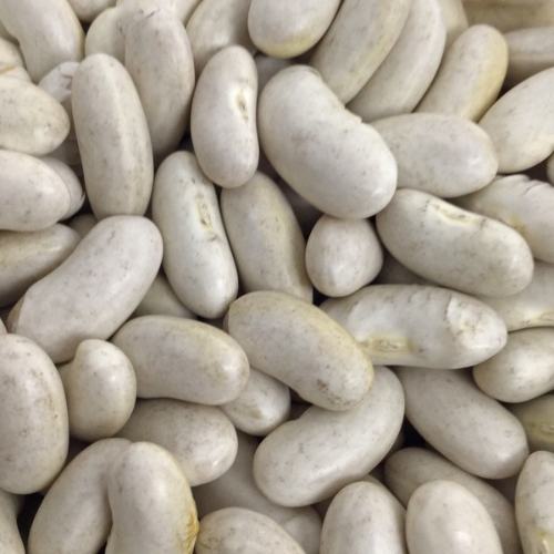 Dried Bean Varieties