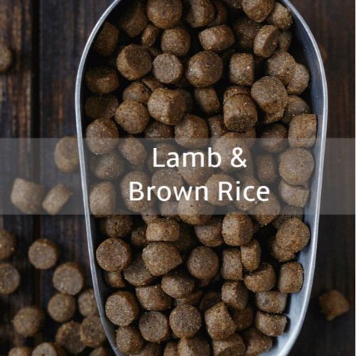 Lamb & Brown Rice Dog Food
