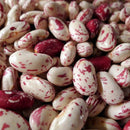 Dried Bean Varieties