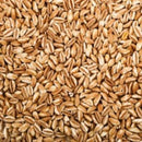 Organic Pearled Farro