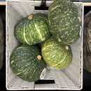 Kabocha Squash