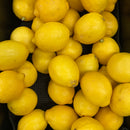 Lemons