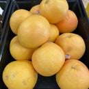 Grapefruit