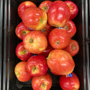 Bulk Apples