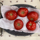 Red Tomatoes